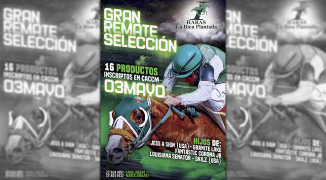 El 3 de Mayo Gran Remate Selección de Haras LA BIEN PLANTADA, aquí el Catálogo y videos