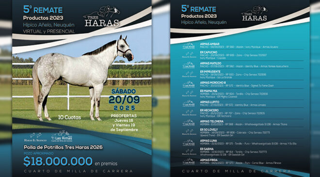 Sábado 20 de septiembre Remate TRES HARAS en el Club Hípico Social y Cultural AÑELO