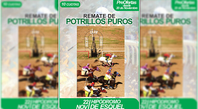 Sábado 22 de noviembre REMATE SPC en Hipódromo Esquel, Chubut