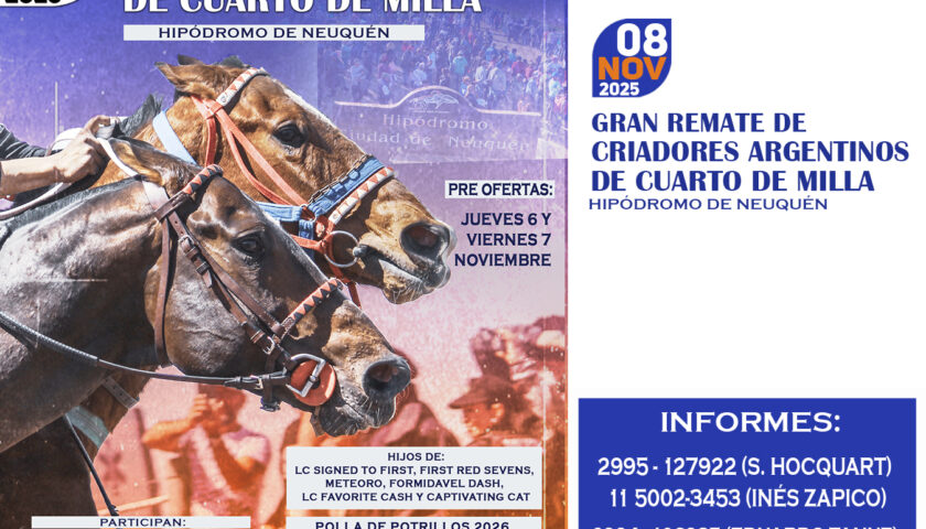 Sábado 8 de noviembre Remate de Criadores Argentinos de QM en el Jockey Club Neuquén