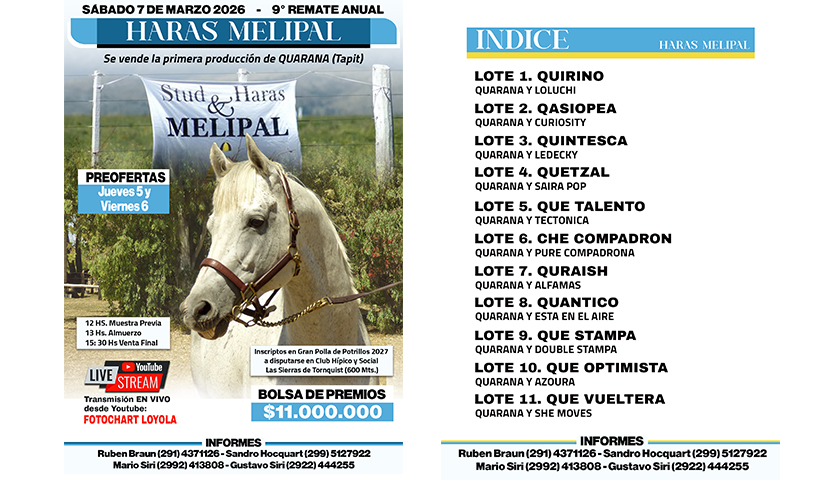 Sábado 7 de marzo Gran Remate de HARAS MELIPAL, sale a la venta la primera generación de Quarana