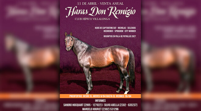 Sábado 11 de Abril Subasta Anual de Haras Don Remigio en Villalonga, aquí el Catálogo
