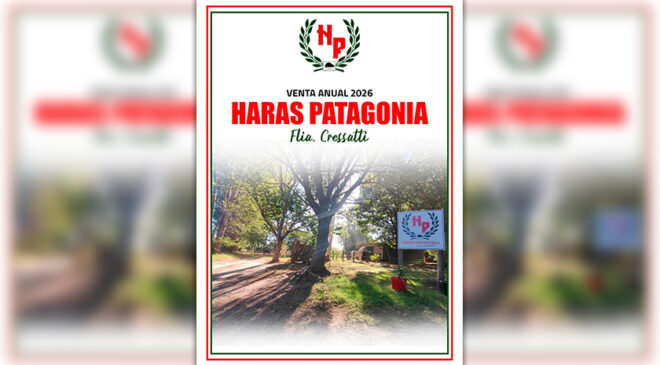 Sábado 11 de abril Remate Anual de HARAS PATAGONIA, aquí el catálogo