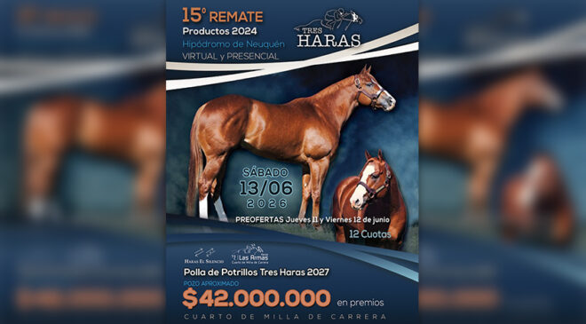 Sábado 13 de Junio 15° Remate TRES HARAS en Neuquén, aquí el Catálogo