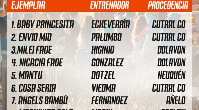 El 30 de agosto se corre en el Jockey Club Neuquén la Polla de Potrillos “Haras Las Marias e Invitados”
