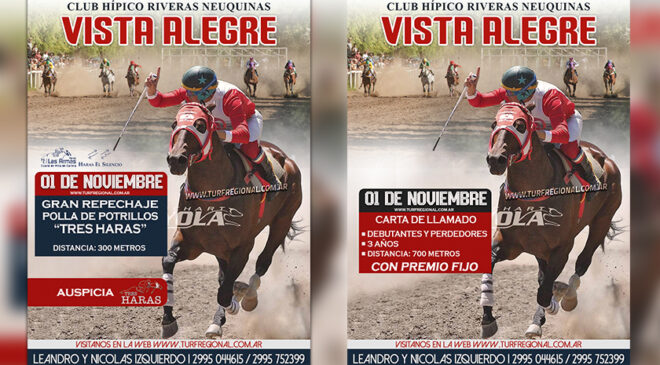 Domingo 1 de noviembre jornada de turf en el Club Hípico Vista Alegre